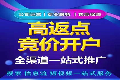 竞价推广实战：成功案例背后的技巧揭秘
